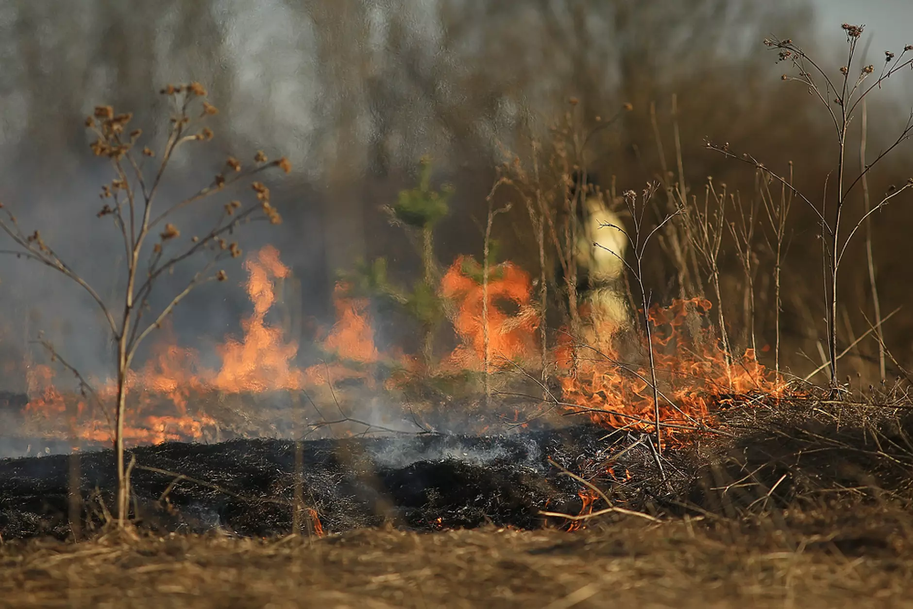Пожар гори на територията на Мини Марица-изток