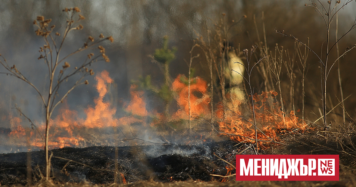 Пожар гори на територията на Рудник 2 в Мини Марица-изток.
