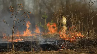Пожар гори на територията на Мини Марица-изток