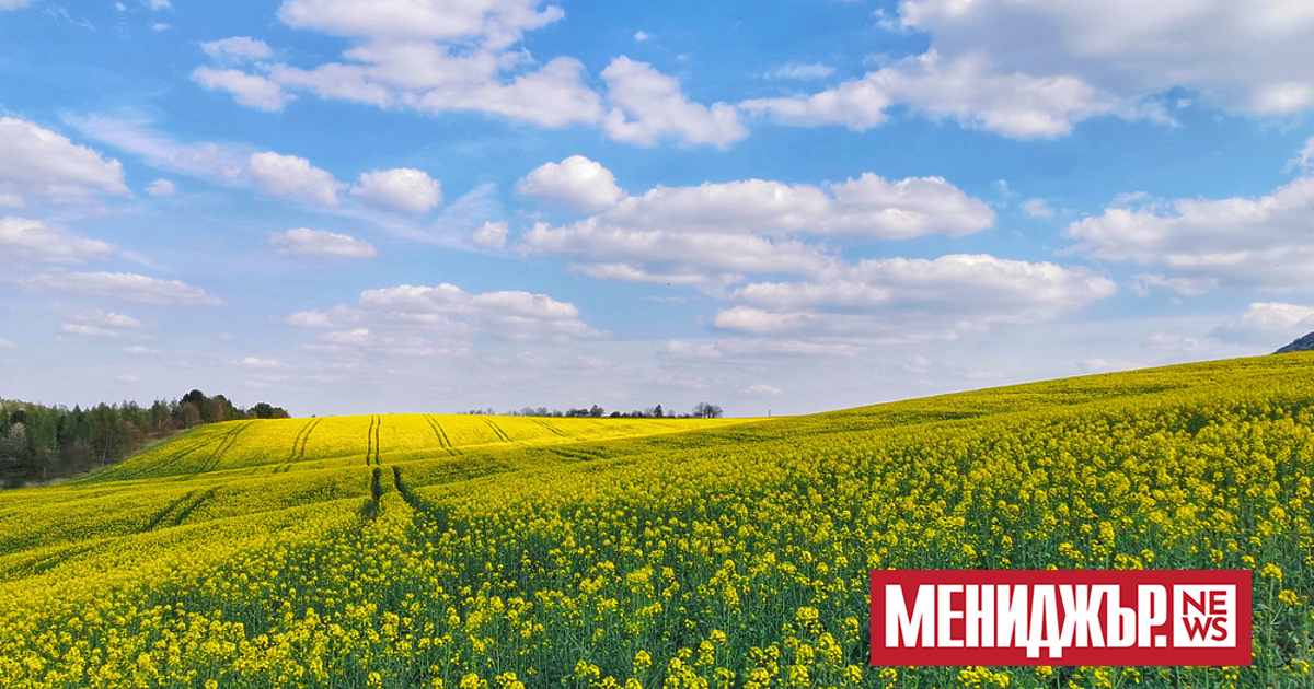 Използването на пестициди в глобален мащаб е нараснало с 80%