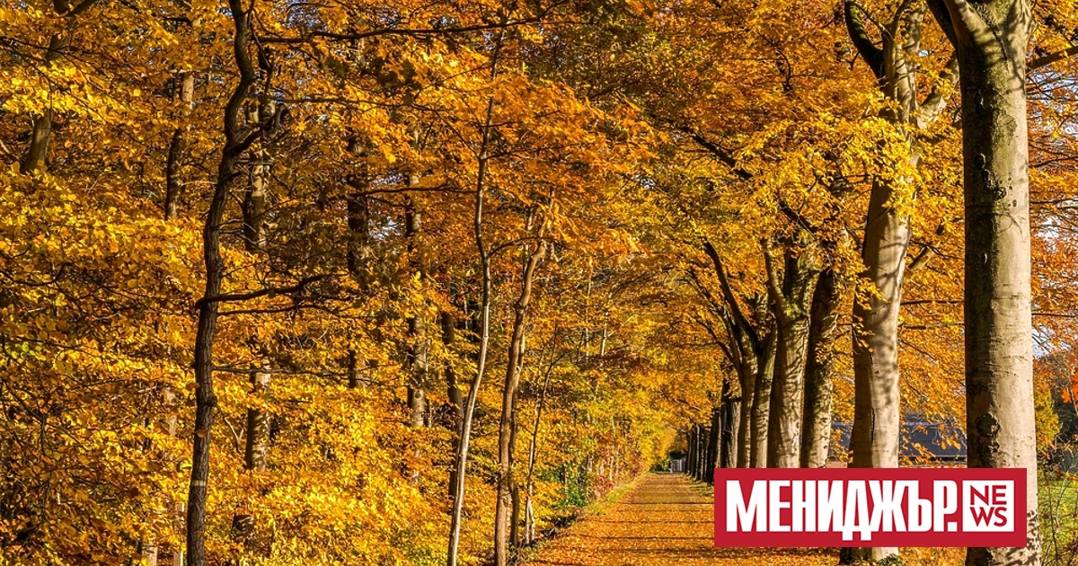 Предимно слънчево ще е днес, но сутринта на места температурите