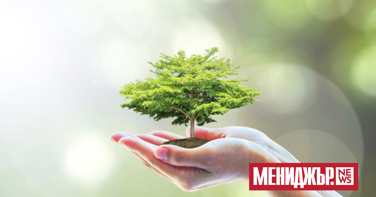 Проверка на РИОСВ не е установила замърсяване в района на