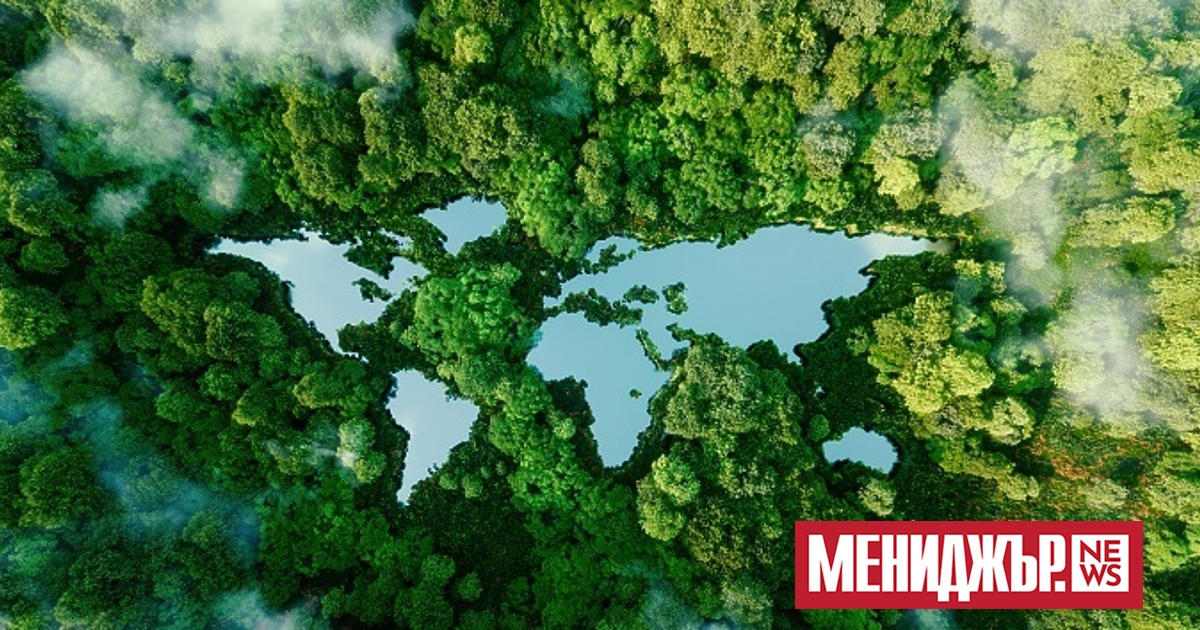 Тринадесет финансови институции, сред които ЕБВР, Групата на Световната банка,