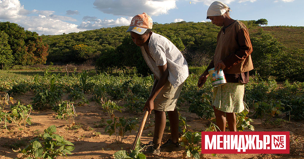 Фондацията на Бил и Мелинда Гейтс обеща 1,4 млрд. долара