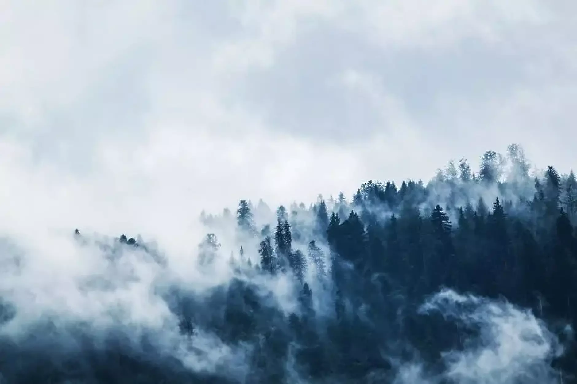 Времето: Облачно, в равнините и котловините с мъгли