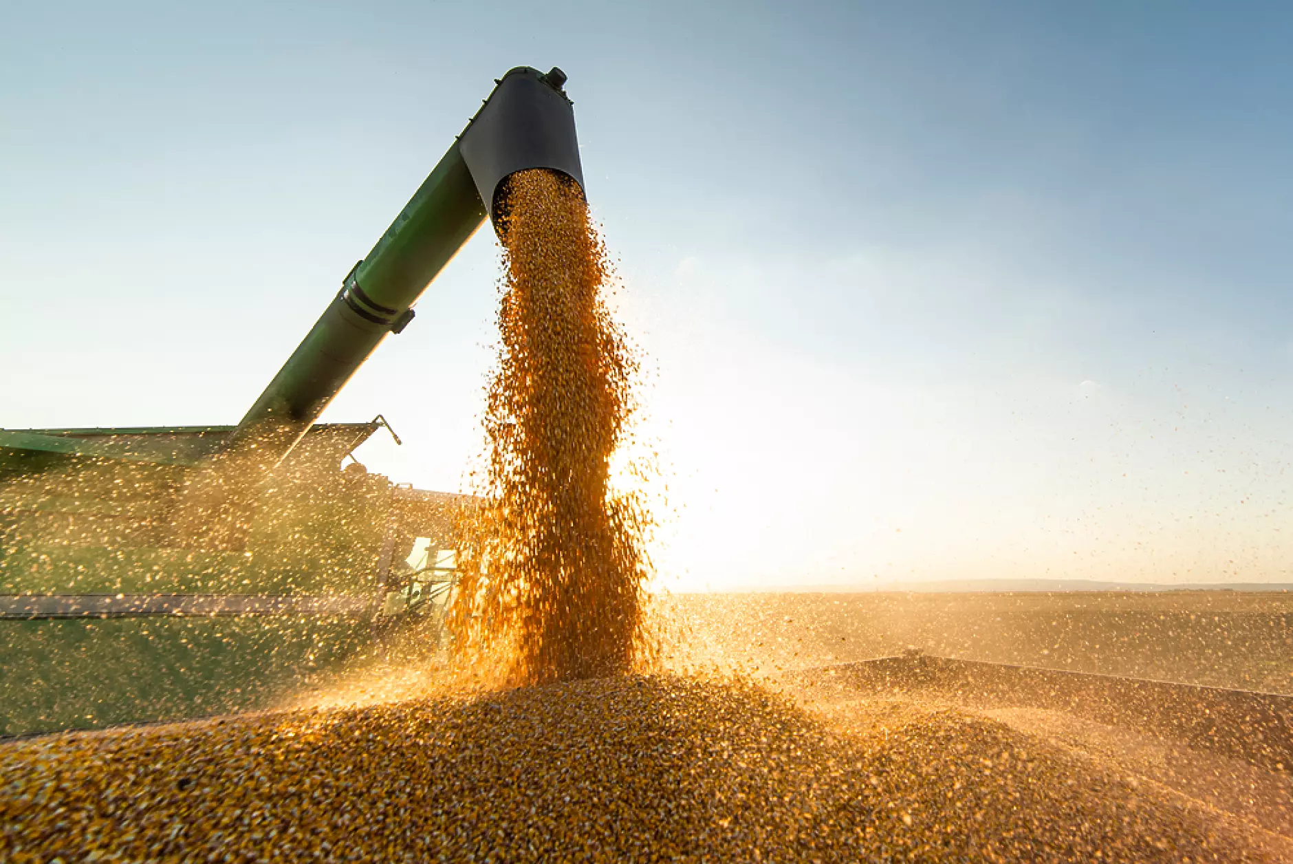 ООН: Износът на украинско зърно ще бъде подновен от четвъртък