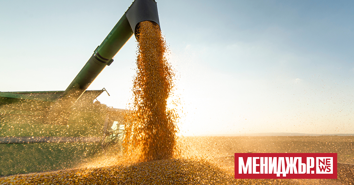 Представители на ООН, които участват в Съвместния координационен център за