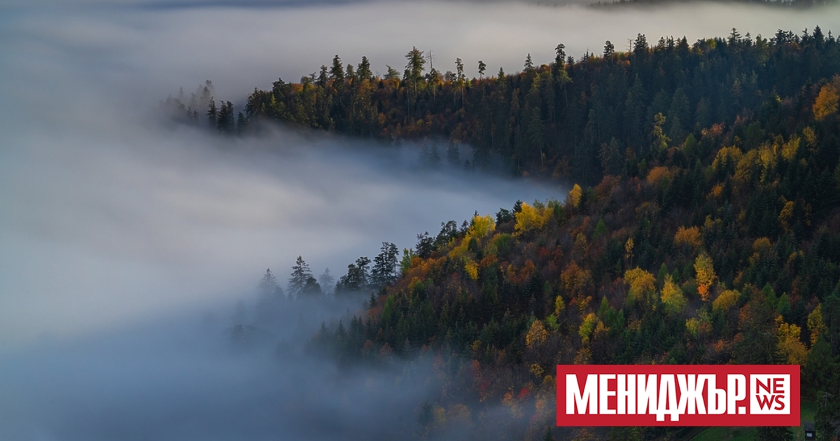 Във вторник около и след обяд видимостта ще се подобрява,