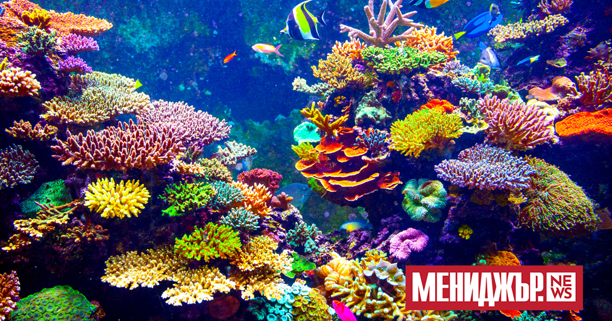 Учени от университета Чулалонгкорн в Тайланд са разработили структура на