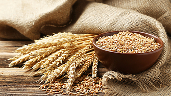 Скок при цените на зърното пшеницата и царевицата прогнозира главният