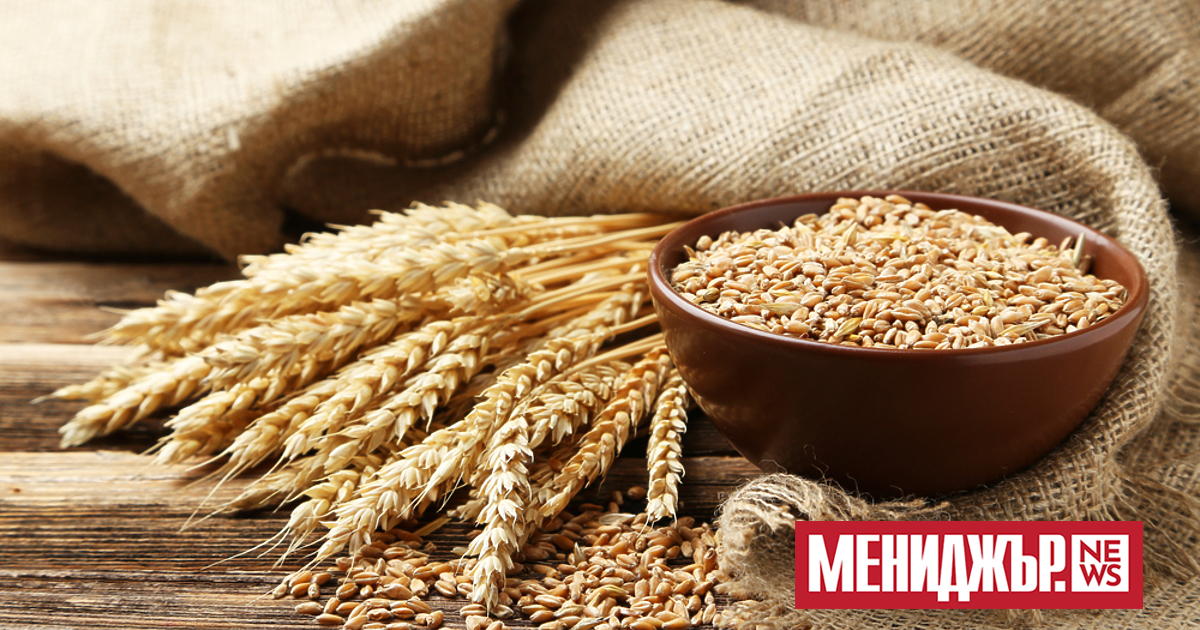 Скок при цените на зърното, пшеницата и царевицата прогнозира главният