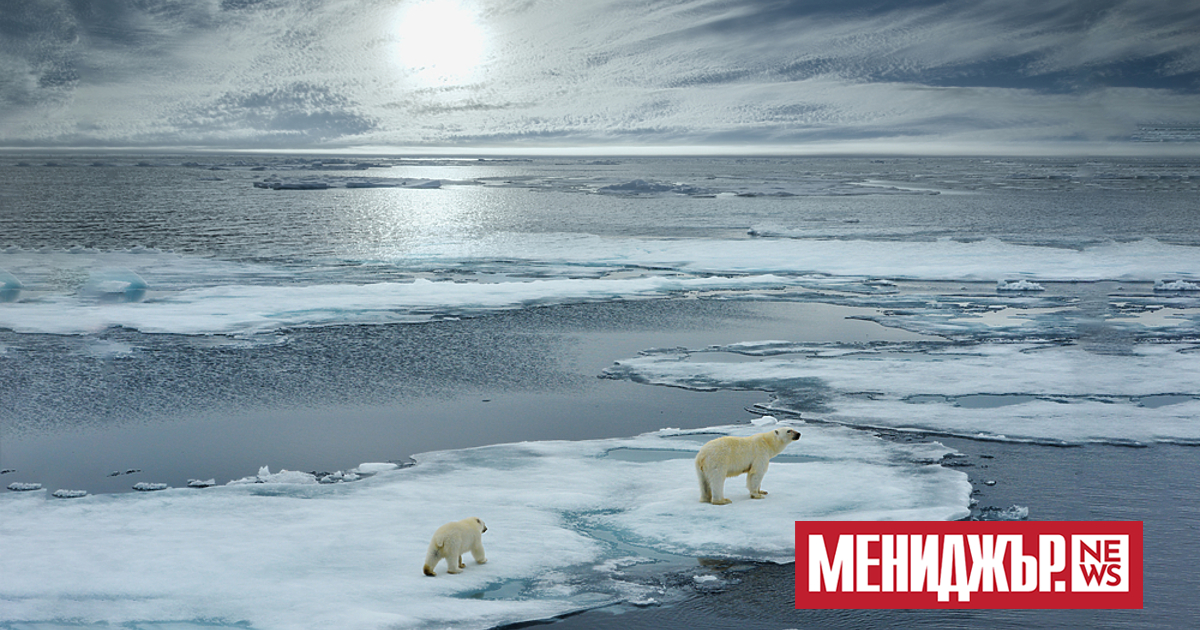 Някои от най-емблематичните ледници в света ще изчезнат до 2050