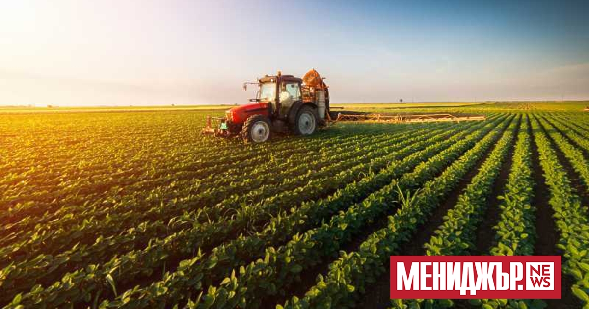 От днес фермерите могат да кандидатстват за остатъка от помощта,