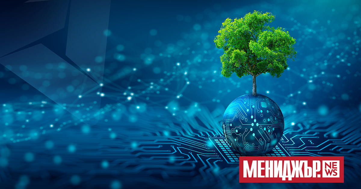 Българската хостинг компания е първият доставчик на облачни услуги у