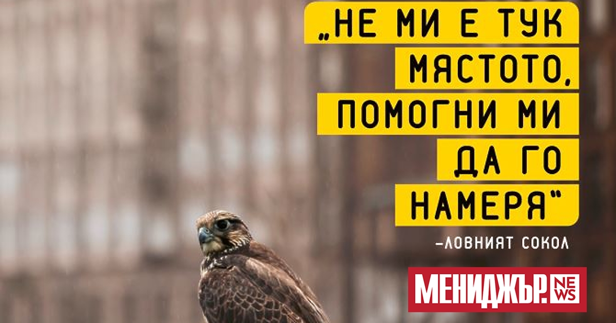 Сигурно сте попадали на тях в социалните мрежи – онези