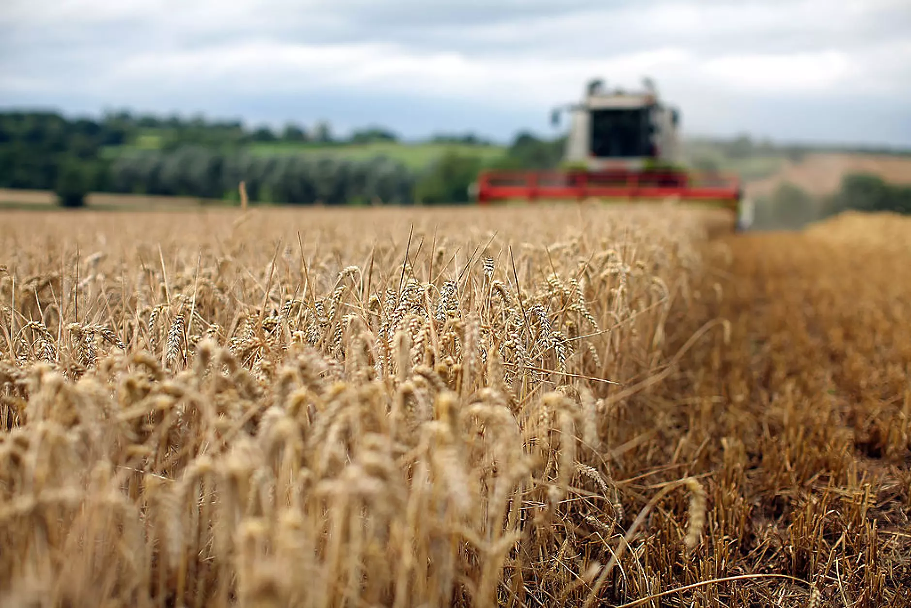 Русия е прибрала пшеница за 1 млрд. долара от окупираните тиротории в Украйна, твърди НАСА
