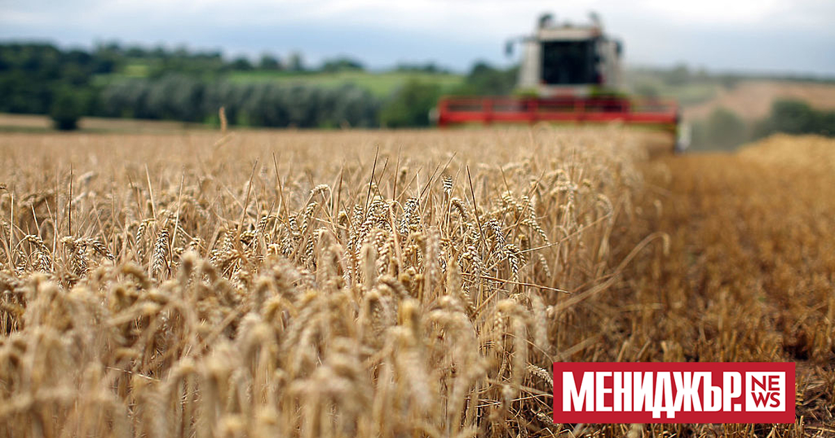 Украйна е загубила най-малко 1 мрлд. долара от пшеница, която