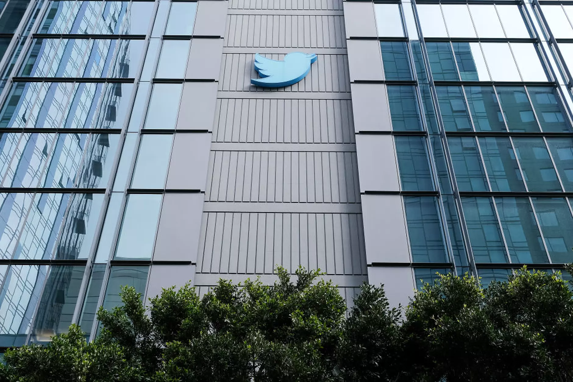 Twitter отлага връщането на платения абонамент за удостоверяване на профили