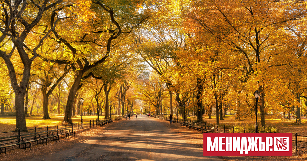 Днес преди обяд все още на отделни места ще има