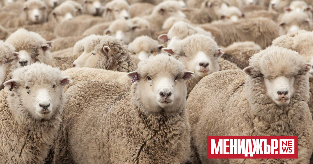 През първото полугодие на 2022 година България е внесла десет