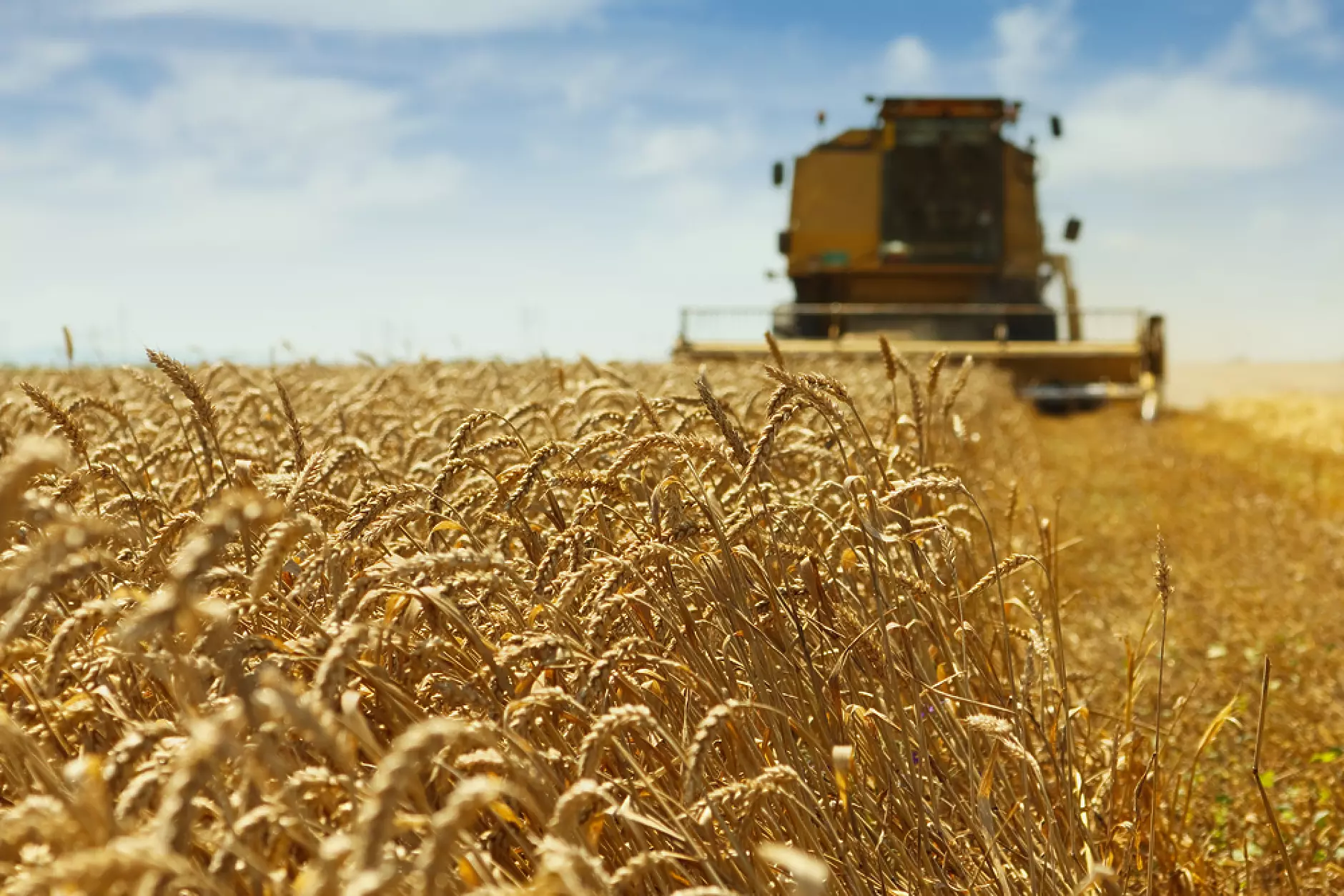 НАСА: През 2022 г. Русия е ожънала пшеница за около 1 милиард долара в Украйна