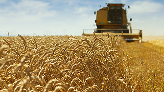 През настоящата година Русия е ожънала пшеница за около 1