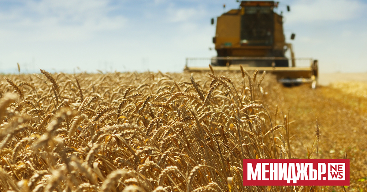 През настоящата година Русия е ожънала пшеница за около 1