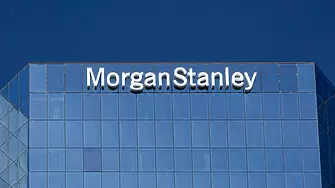 Експерт на Morgan Stanley предсказа период на екстремална волатилност през 2023 г.