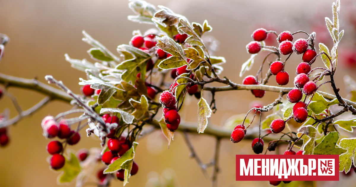 В съботната сутрин ще бъде студено с минимални температури между минус