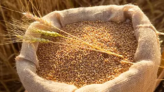 През първата седмица на 2023 година цените на основните зърнени
