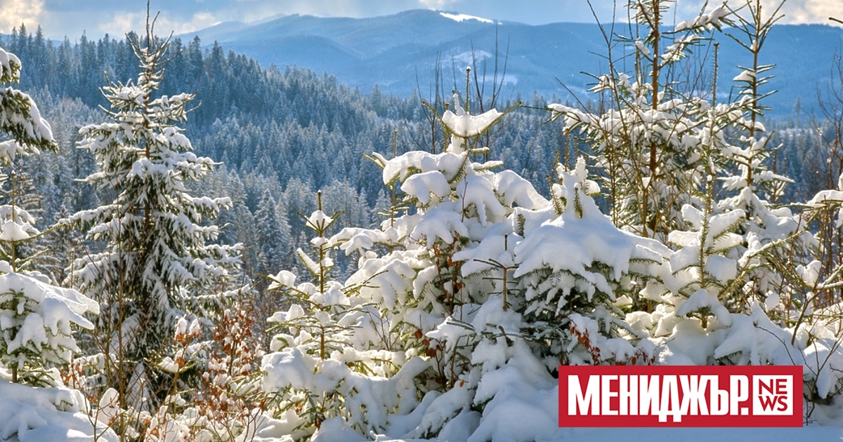 Пролетен полъх ще усещаме днес със слаб до умерен югозападен