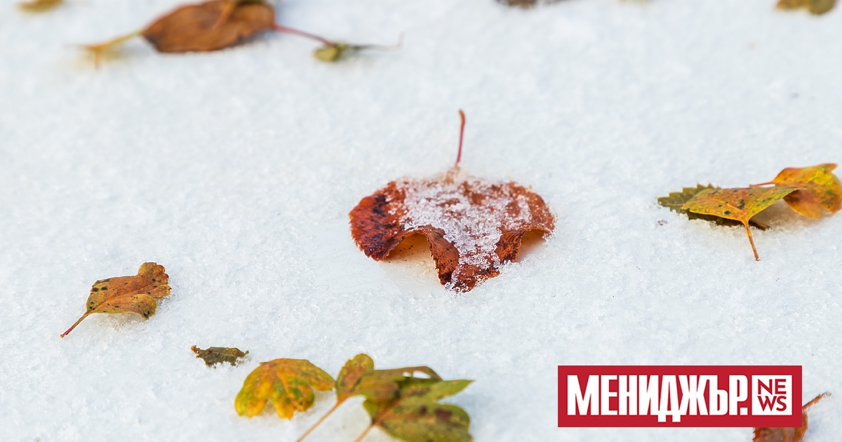 Астрономическата зима ще настъпи две минути преди полунощ днес. В