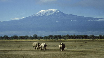 Хималаите Мадагаскар и националният парк Кибале в Кения са обявени