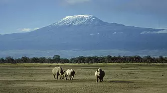 Хималаите, Мадагаскар и Кения са най-добри за отдих сред дивата природа