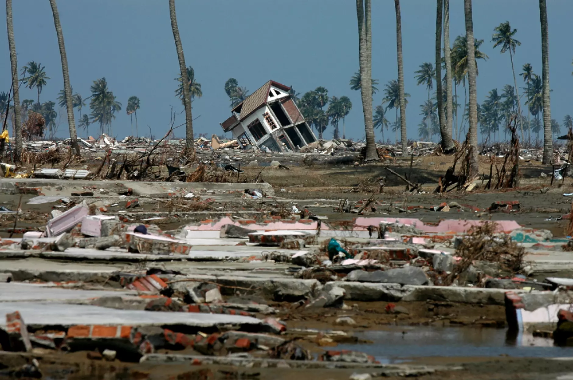 Природните бедствия са причинили финансови загуби за около 270 млрд. долара през 2022 г.
