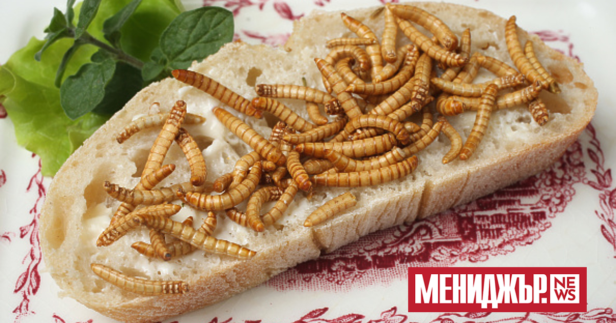 Нов закон на ЕС влиза в сила от вторник. С