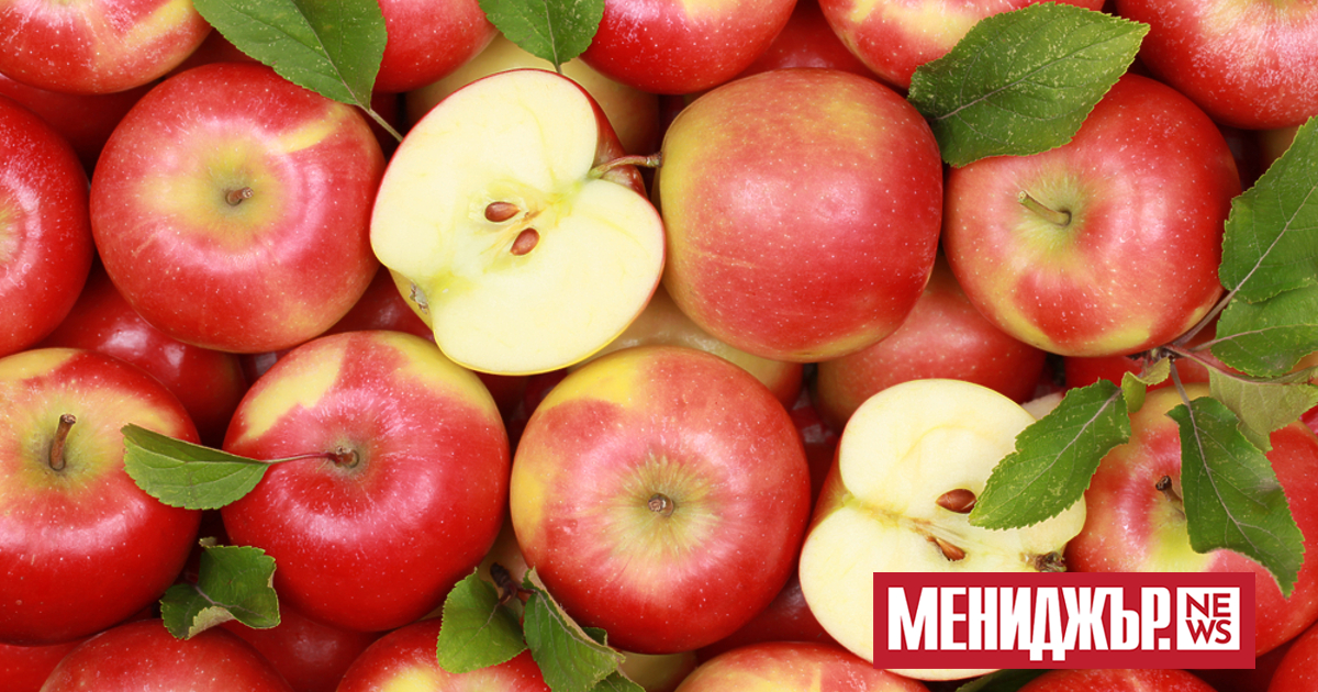 Индексът на тържищните цени (ИТЦ), който отразява цените на хранителните стоки