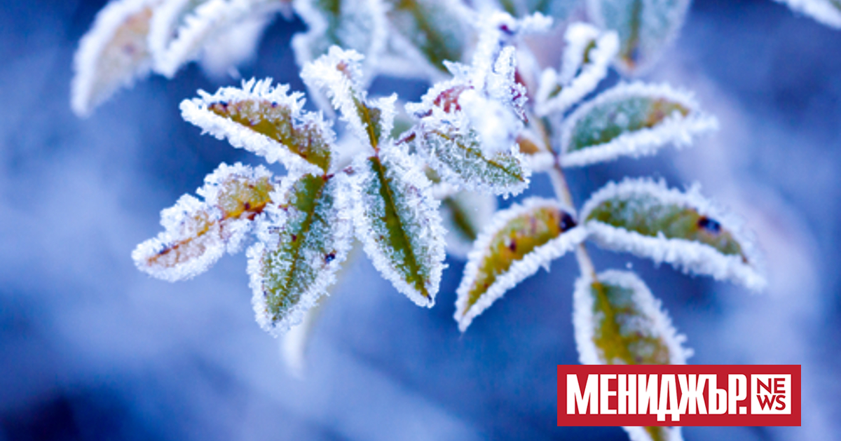 В първия ден на февруари облачността над страната ще бъде променлива,