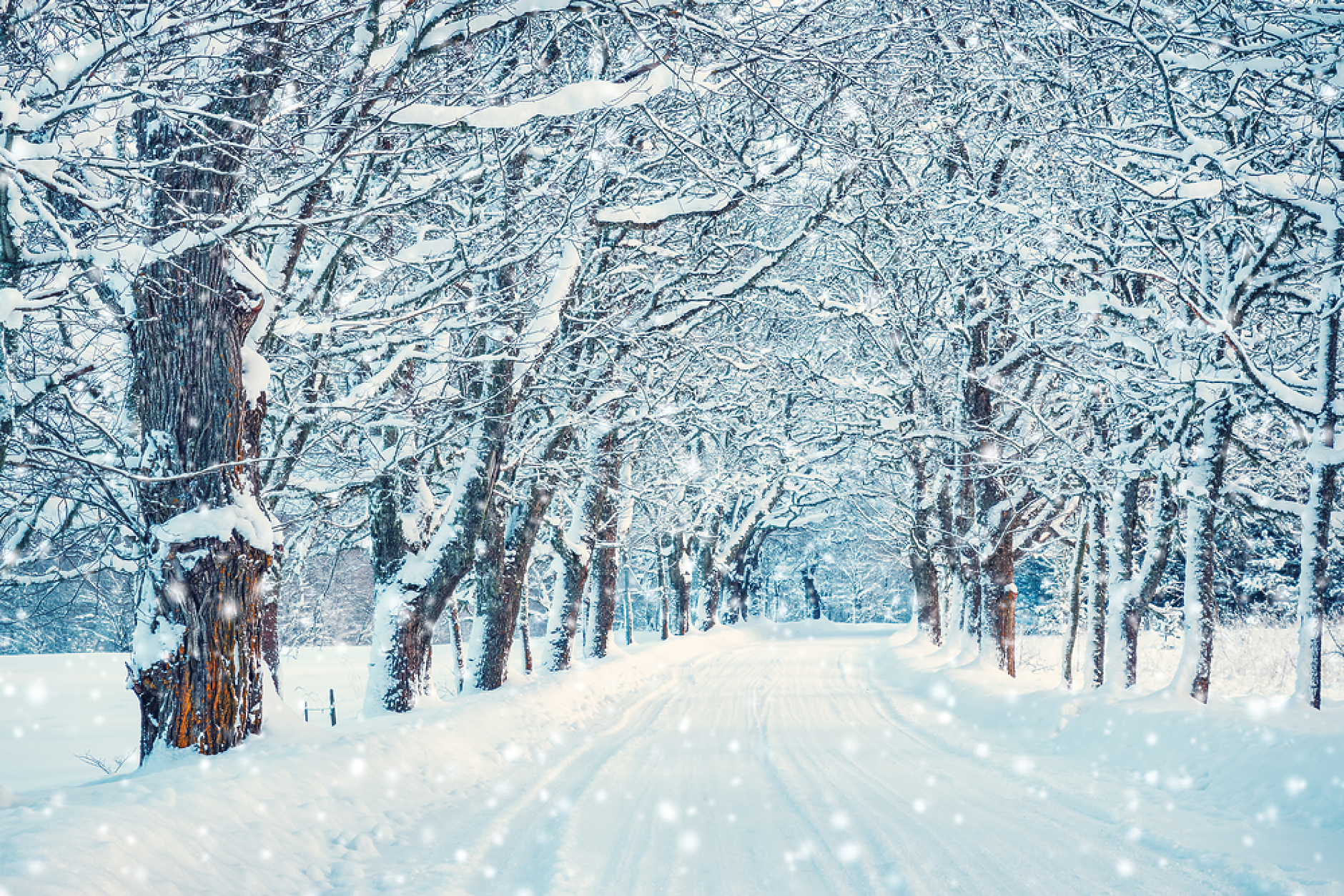 Времето: Жълт код за снеговалежи и силен вятър в почти цяла България