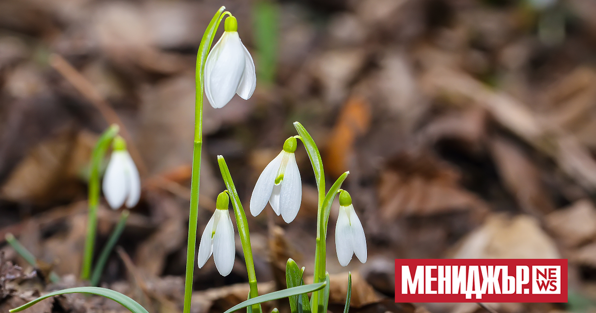Слънчево и нетипично топло за февруари ще бъде днес. Минималните