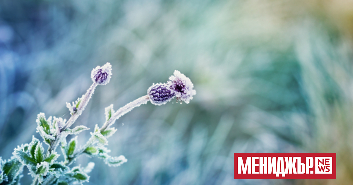 Мразовито утро е причината за днешното предупреждение от първа степен