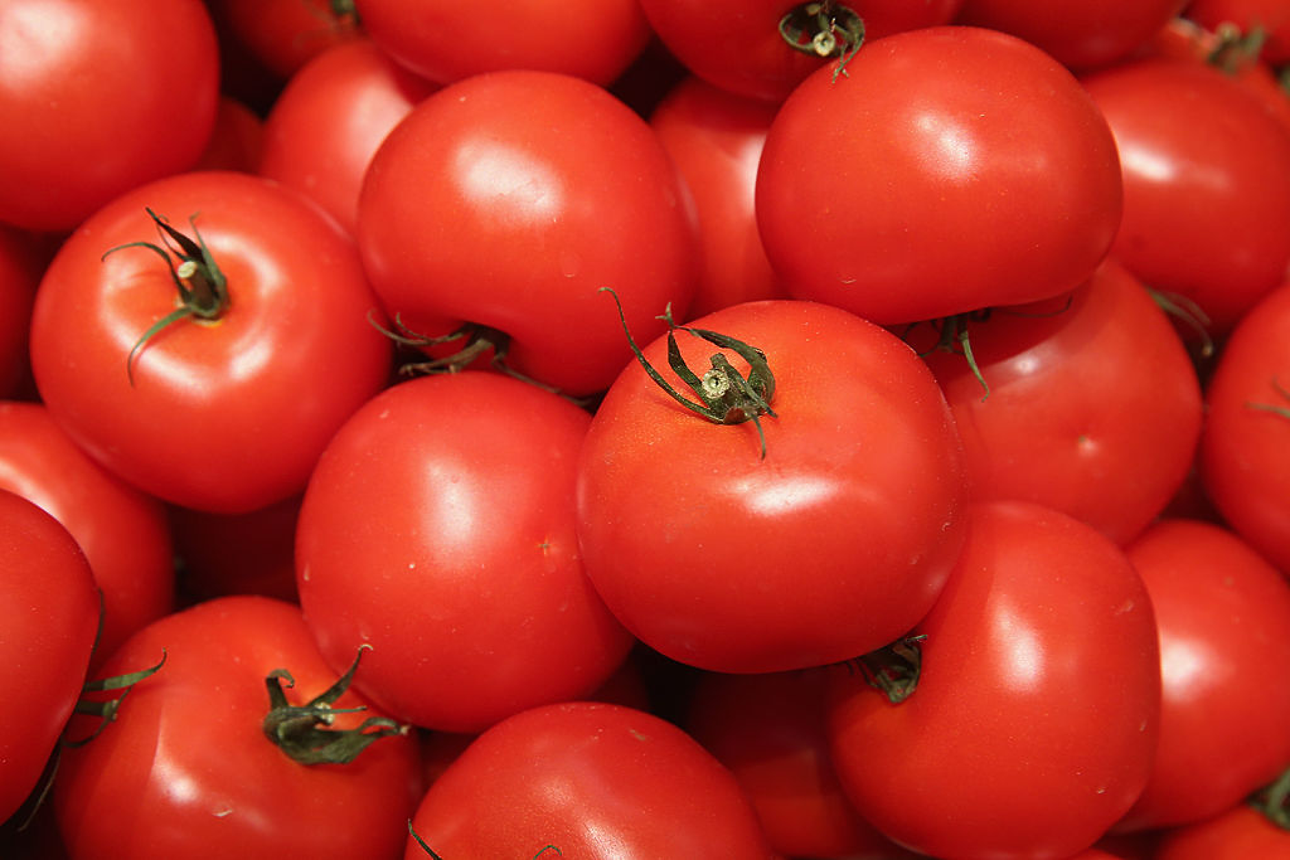 Шефът на комисията по стоковите борси: Цената на килограм домати на дребно може да стигне до 7 лева