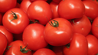 Шефът на комисията по стоковите борси: Цената на килограм домати на дребно може да стигне до 7 лева