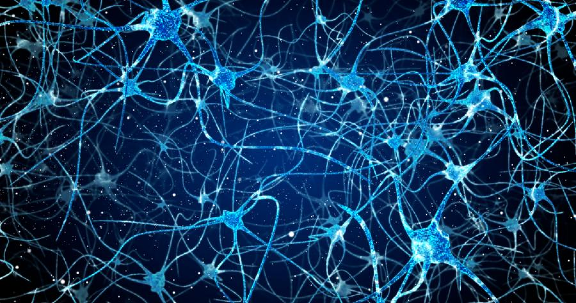 Изследователи успяха за първи път да запишат дългосрочна електрическа активност в една-единствена мозъчна клетка
