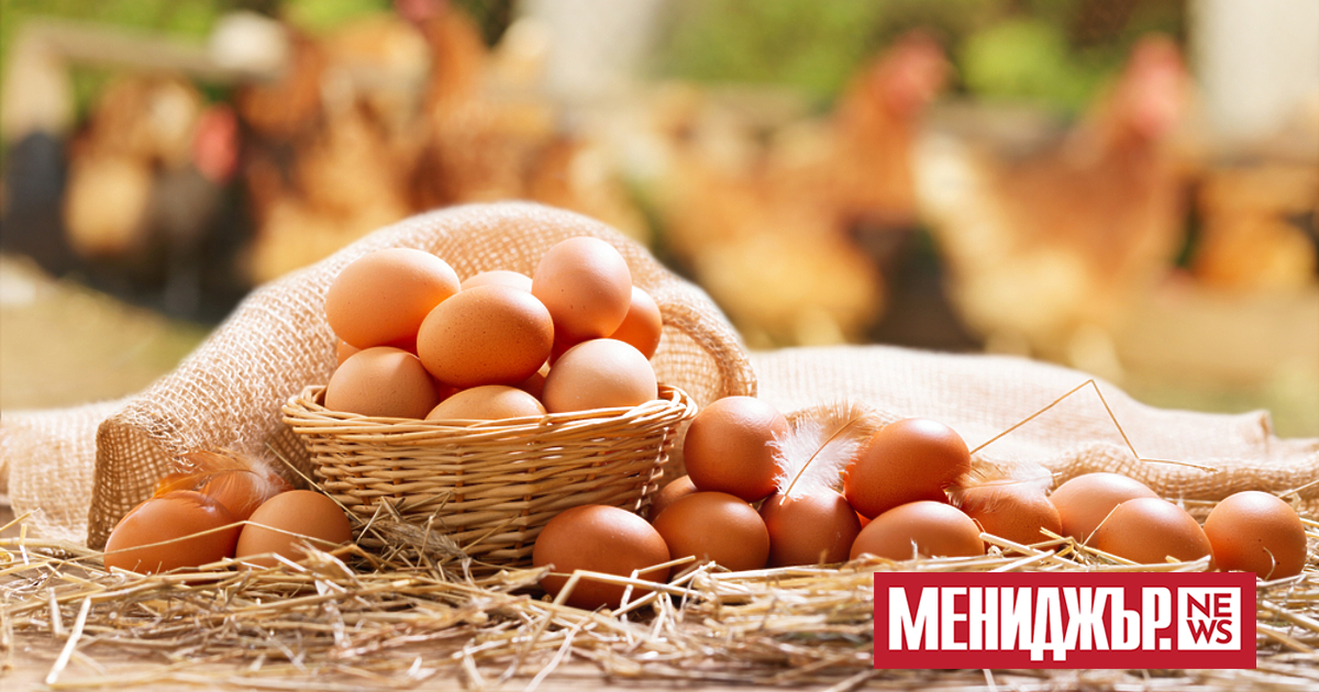 Няма да има промяна в цената на яйцата преди Великден.