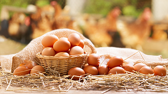 Не се очаква поскъпване на яйцата преди Великден