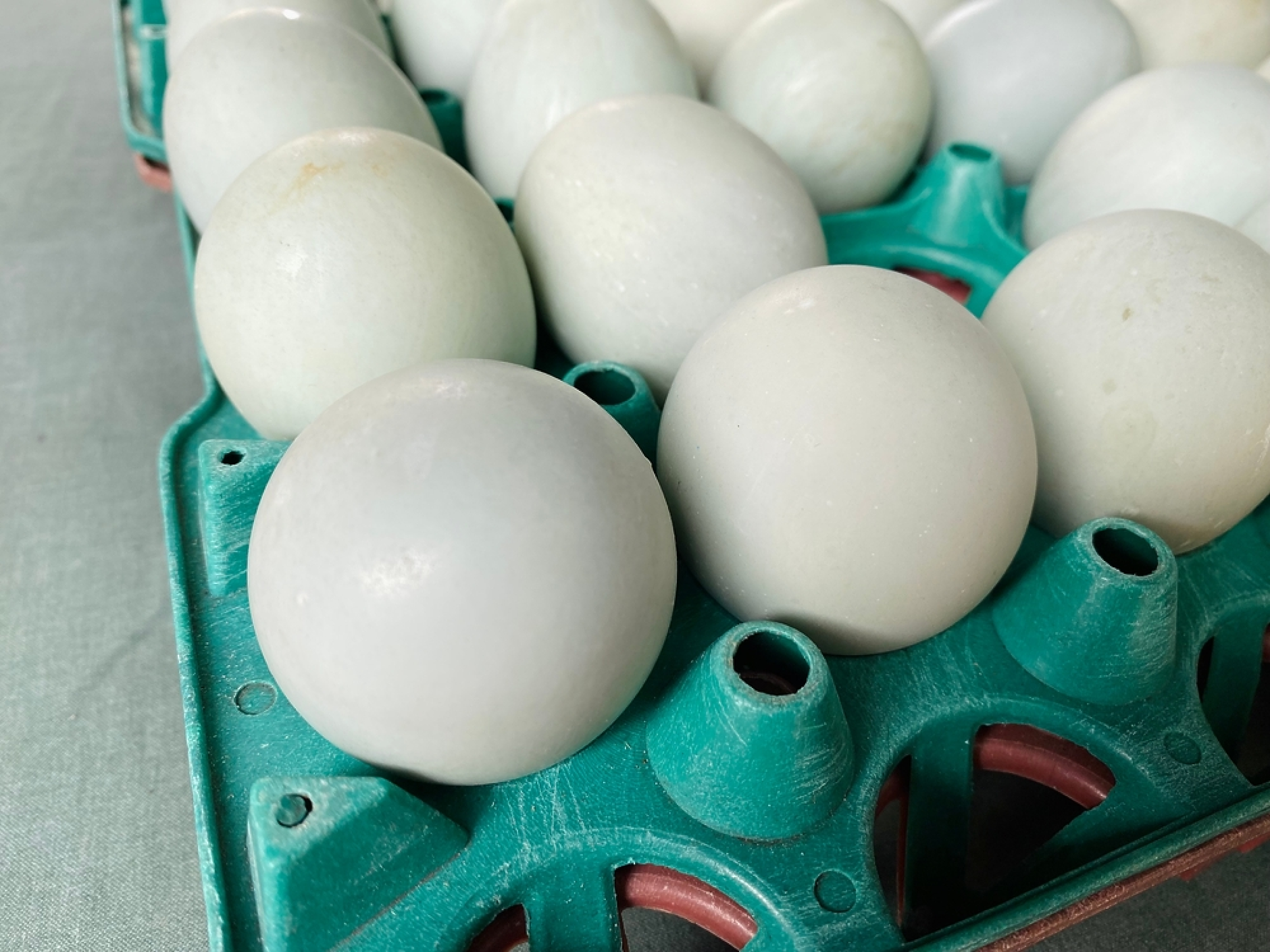 България в топ 4 в ЕС по поскъпване на яйцата  
