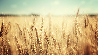 Украйна ще поиска от Турция и ООН да започнат преговори за удължаване на зърнената сделка