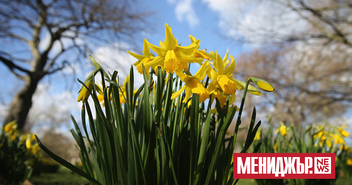 През нощта ще бъде предимно ясно и на много места