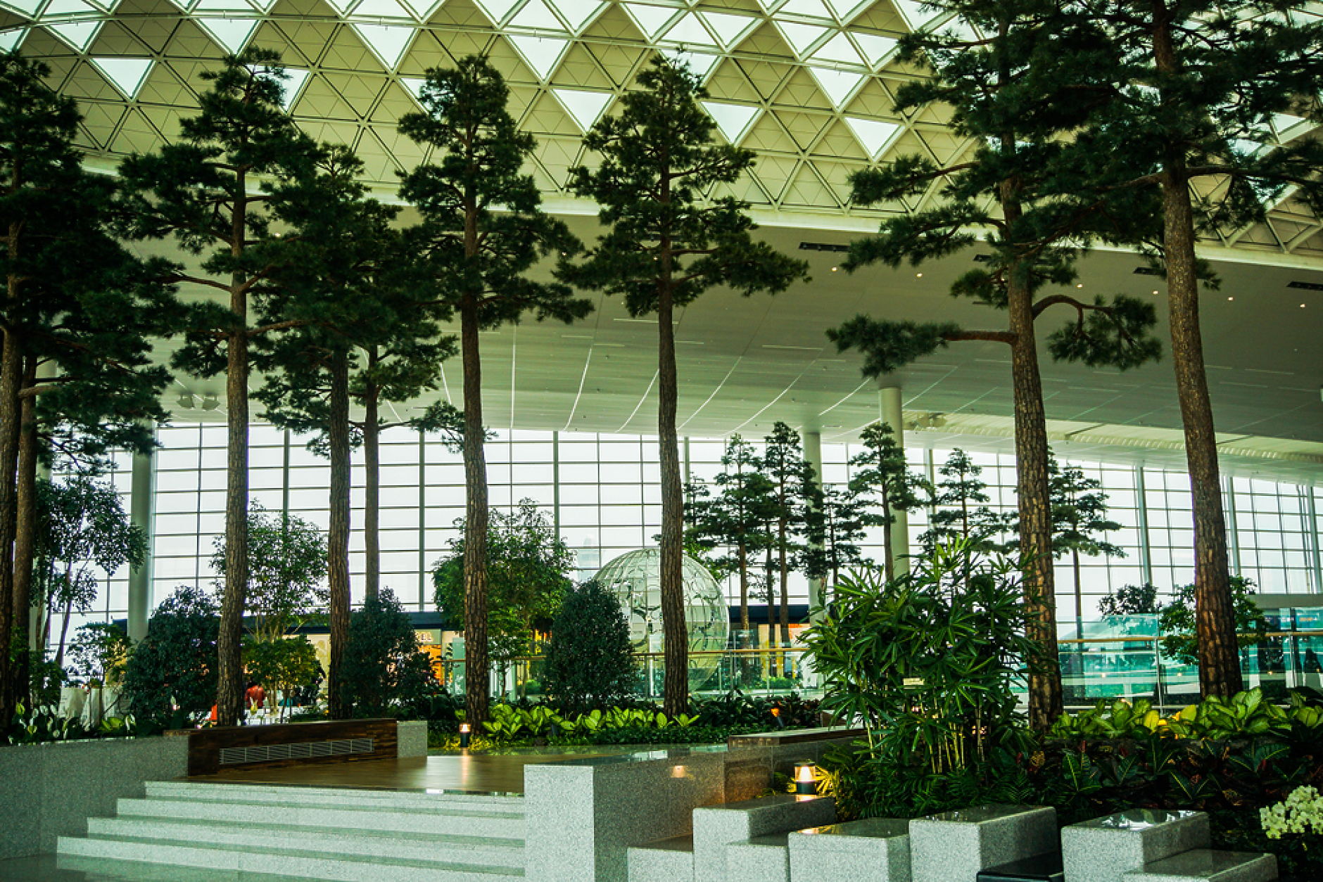 Вътрешна градина в новооткрития терминал 2 на южнокорейското летище "Инчеон". Снимка: Shutterstock